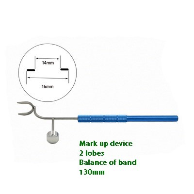 PENDULO GRAVITACIONAL LENTE TORICA